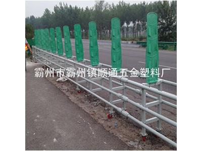 ����o��-19